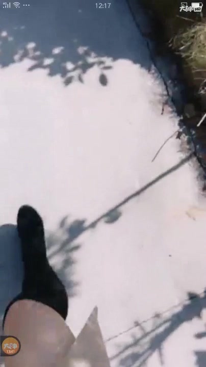 风骚女主播西施猫大白天公园勾搭路人路边站立啪啪 不够尽兴到车里继续玩 呻吟超浪