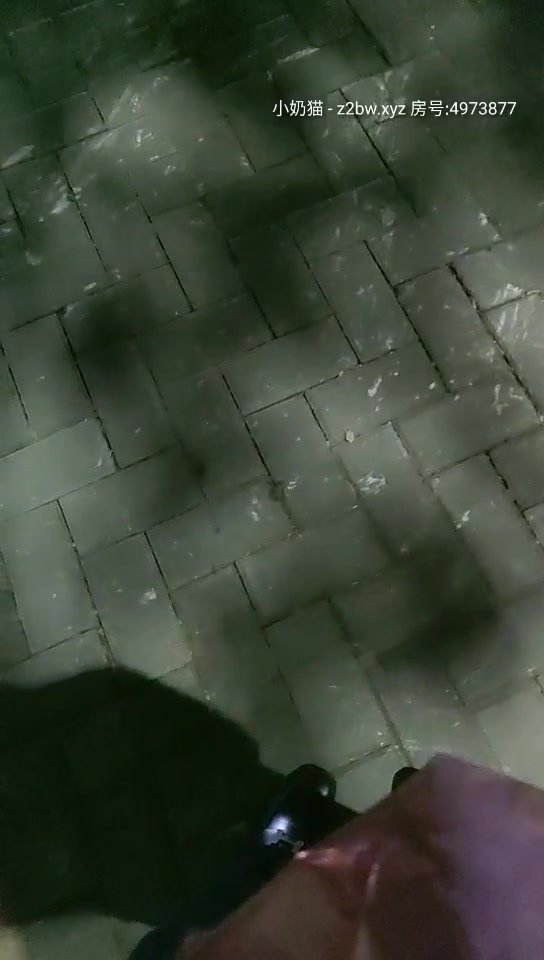 全网第一个女探屌【魅族女皇】12.05约炮附近人屌丝宾馆开房啪啪 小哥太紧张干会就射了 女皇还没高潮 高清源码